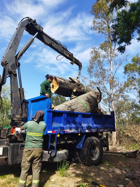 A hydraulic crane attached to a blue flatbed truck is lifting a large, cut section of a tree trunk with visible bark and wood grain, secured with green straps. Two workers in green safety jackets and protective clothing are coordinating the loading process outdoors, with one guiding the trunk from inside the truck’s bed, and another standing on the ground assisting. The background features a bright blue sky with scattered clouds and tall trees with green foliage, indicating a daytime home relocation or outdoor furniture transport operation, as part of a professional removals service by Colliers Wood Removals specializing in challenging access jobs at Merton Abbey Mills.